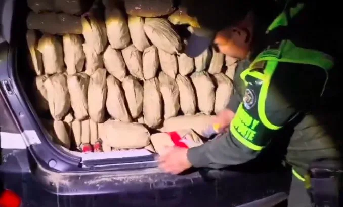 Ecuador incautó 188,1 kilos de marihuana en la frontera con Colombia