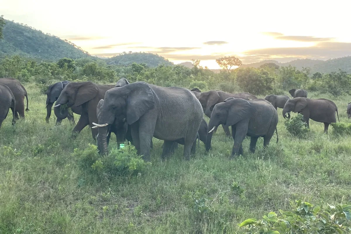 WATCH | Renewable energy to power more than a quarter of Kruger’s electricity needs