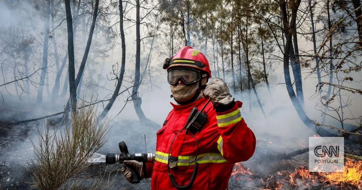 Proteção Civil confirma que fogo em Arcos de Valdevez já está dominado