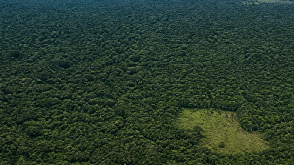 Imazon registra desmatamento zero em 60% das terras indígenas da Amazônia