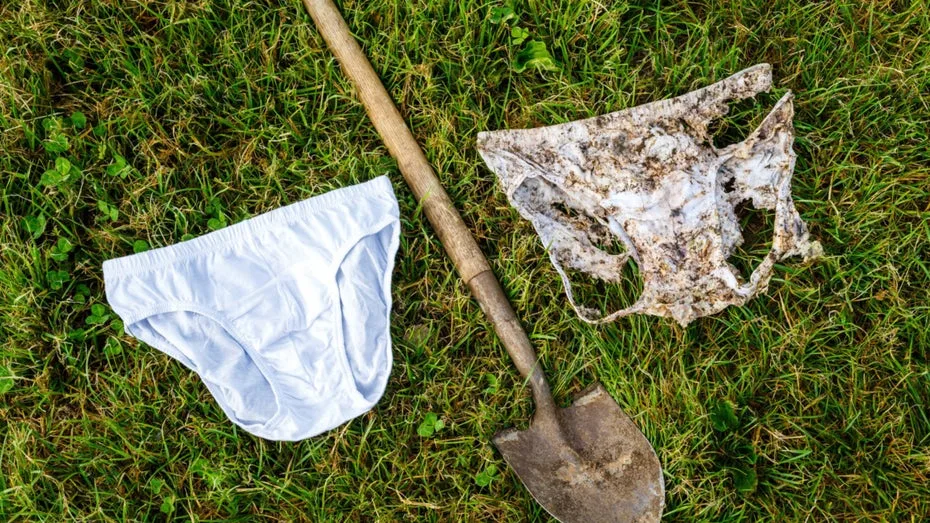 Projekt der Uni Zürich: Warum diese Unterhosen etwas über deinen Garten verraten können