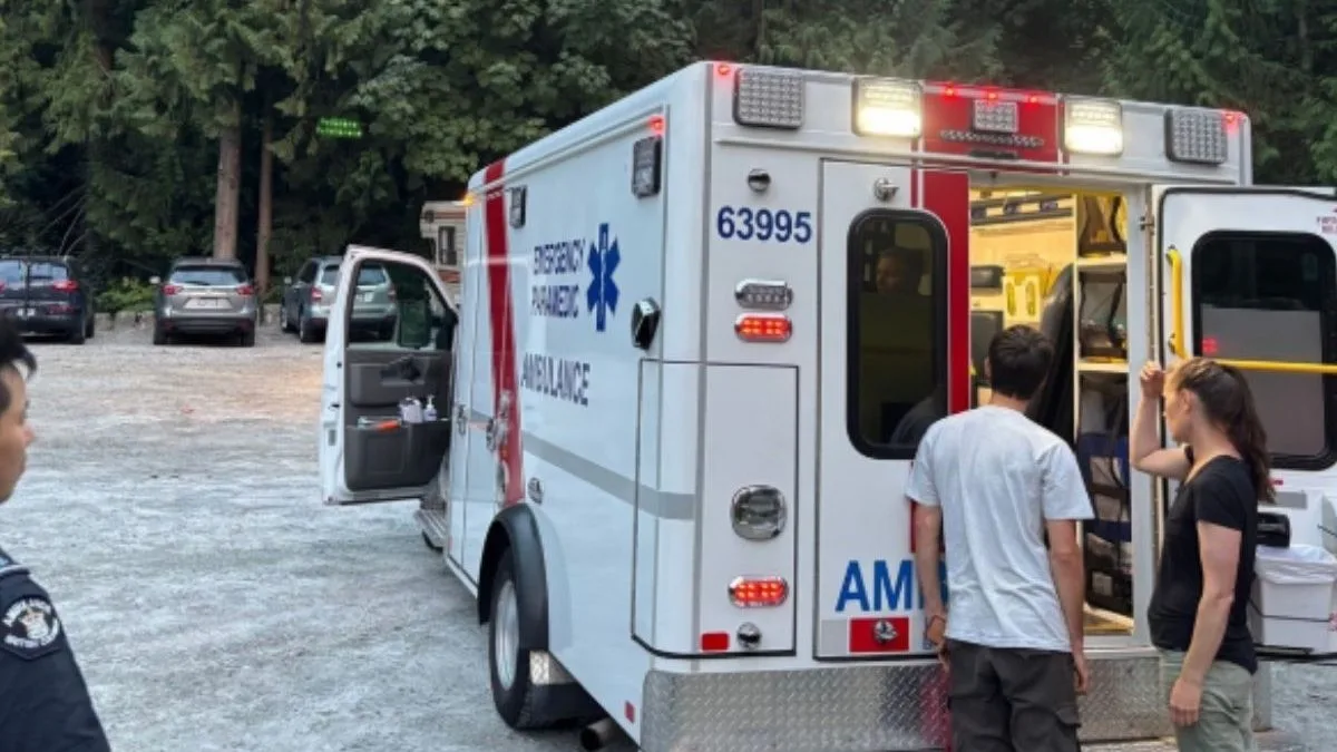 Mulher é atacada por vespas, leva mais de 100 picadas e precisa ser resgatada de helicóptero após ficar presa em área remota no Canadá
