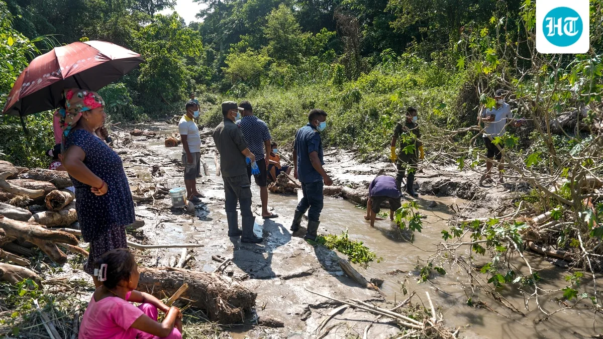 Visa rejection saves Bengal woman's life from Nepal flood fury | What we know