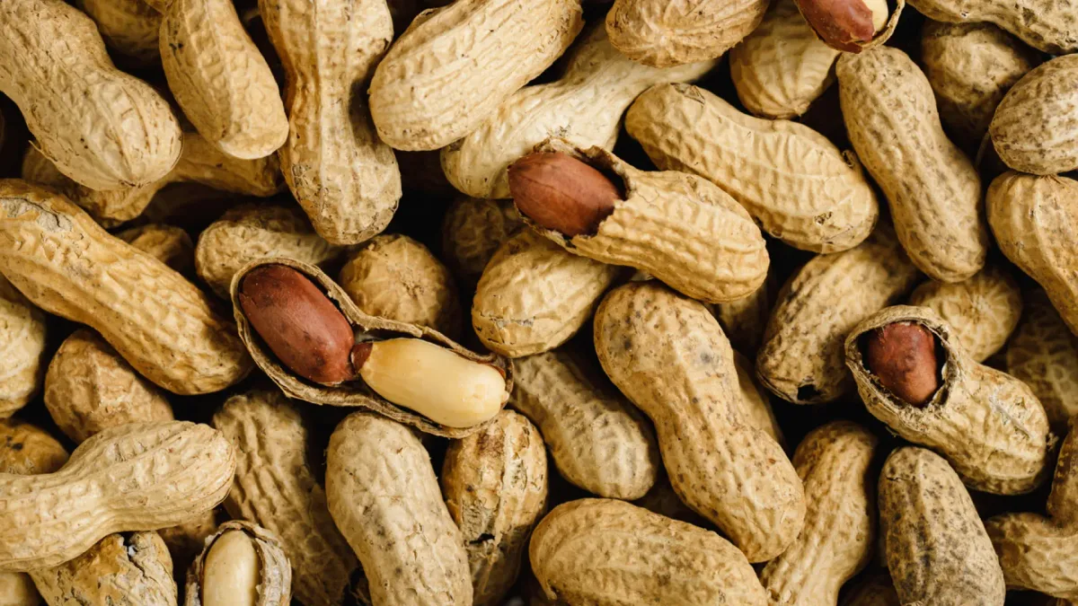 Comer cacahuetes a diario podría beneficiar al cerebro a partir de los 60 años