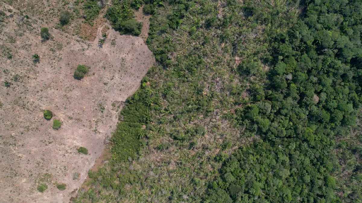 Deforestation in Brazil's Amazon falls to all-time low