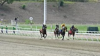 Estos son los retirados de la Reunión N°41 en el Hipódromo La Rinconada para domingo 18-10-2026