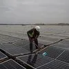 Solar volta a liderar produção de eletricidade em agosto