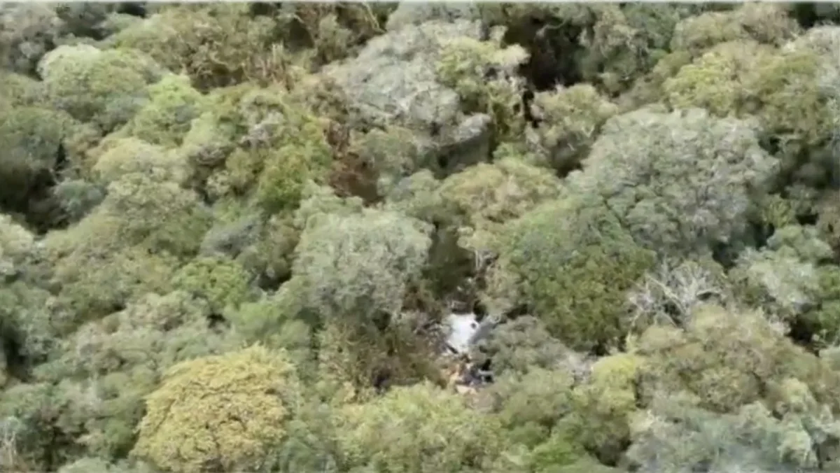 Rick, da dupla com Renner, morre em queda de helicóptero em SC; relembre a trajetória do cantor