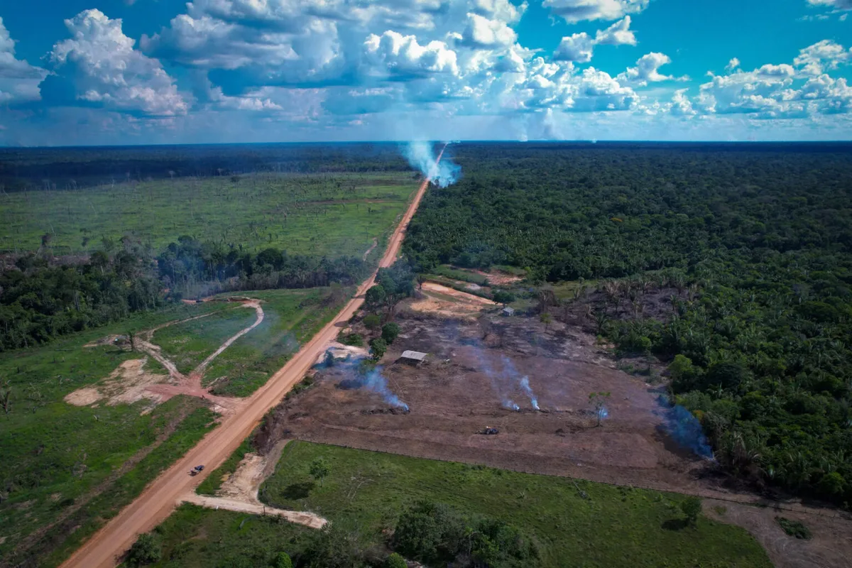 Roraima registra 30% de aumento no desmatamento nos últimos 12 meses