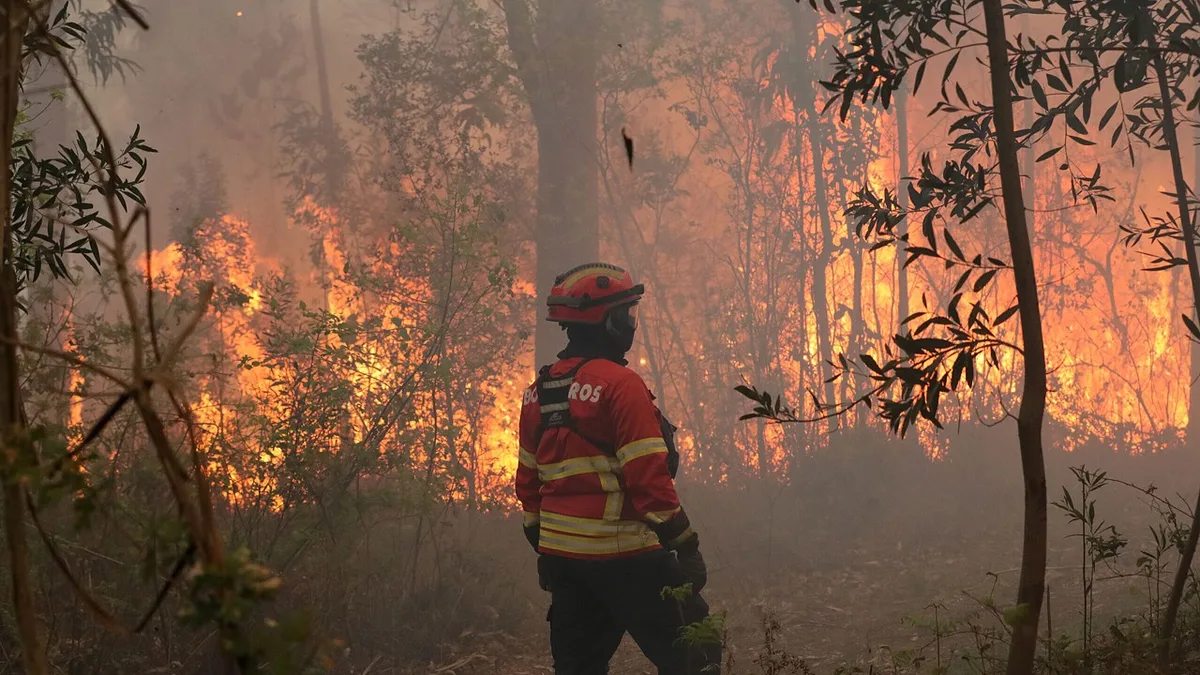 Incêndios: Dois bombeiros feridos, um com gravidade, e casas em risco em Valongo