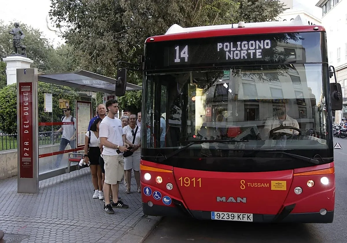 El TSJA confirma que la obesidad no es causa de exclusión en las pruebas de Tussam