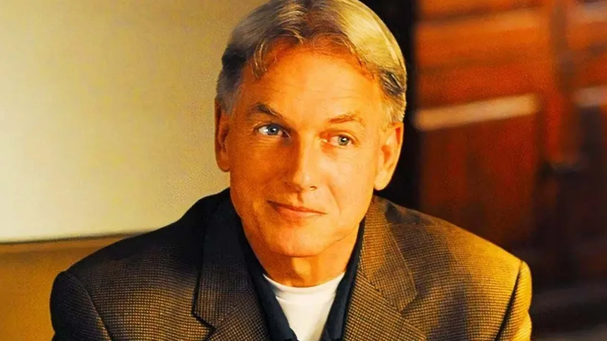 NCIS : c'était l'un des plus grands mystères de cette série policière culte... Il a fallu attendre la saison 19 pour avoir la réponse !
