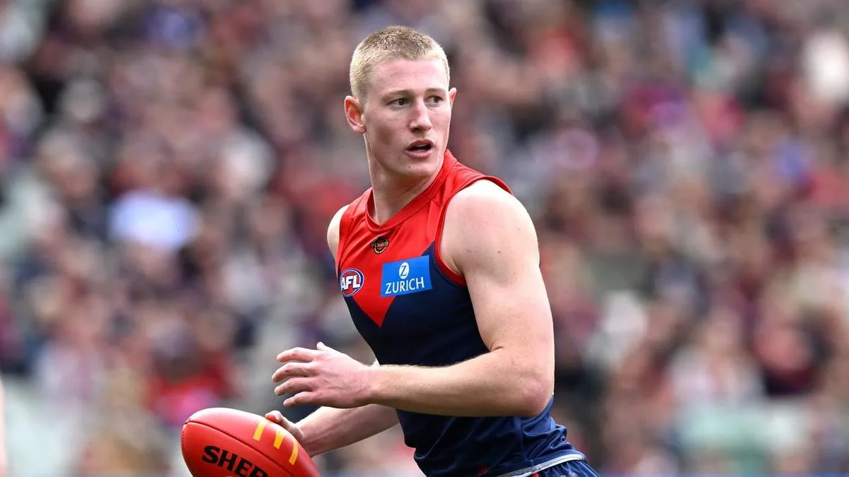 Demons forward banned ahead of AFL finals