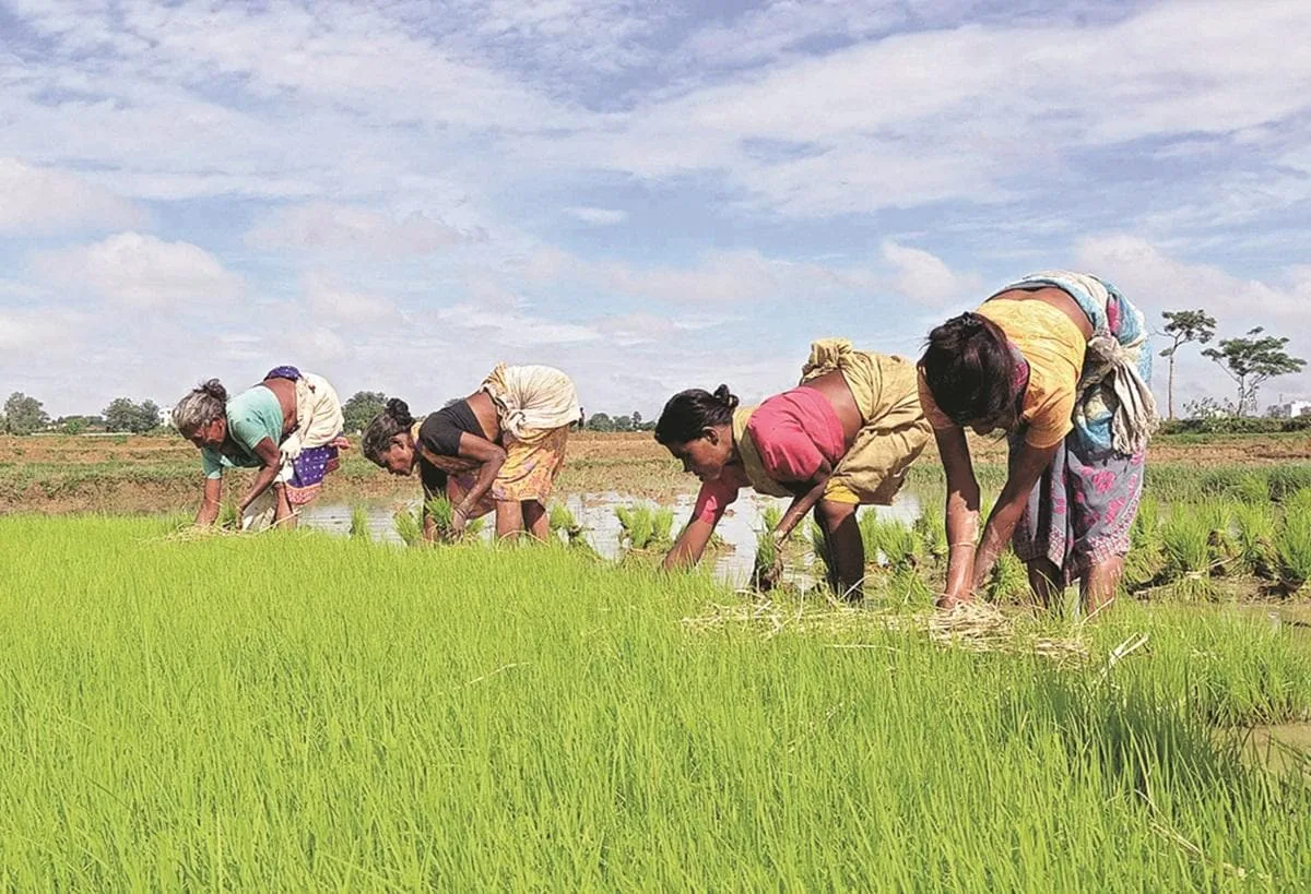 Kharif sowing reaches near-2025 levels, just 1.5% lower till August 21