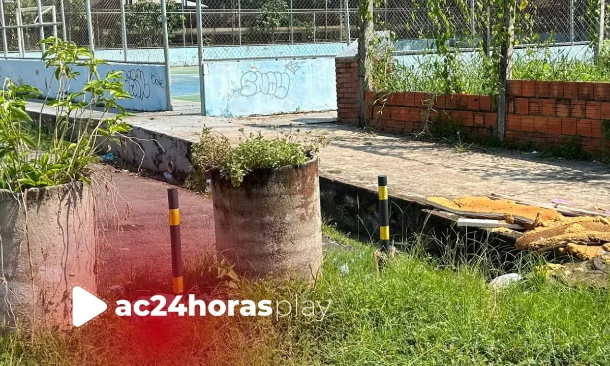 Moradores denunciam mato alto e fossa a céu aberto no acesso à Escola Monteiro Lobato