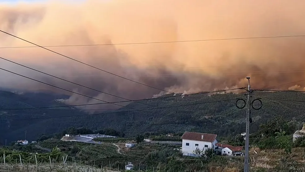 Incêndio florestal em Arouca entra em fase de resolução após dias de combate
