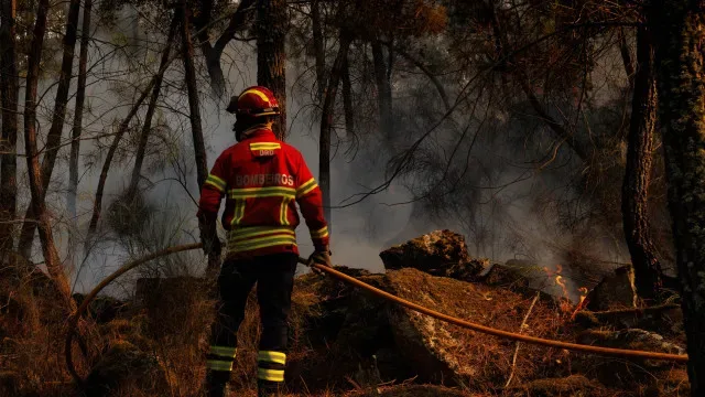 Quatro grandes incêndios no Norte entram em fase de resolução