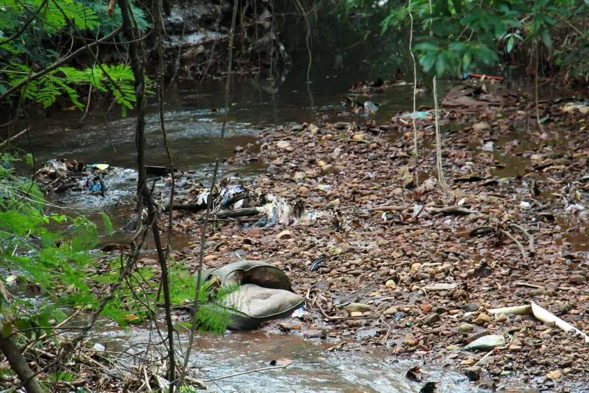 Sofás, animais mortos e água verde dividem espaço com caminhada no Imbirussu