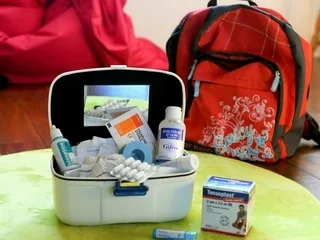 ENTRETIEN. Incendies, tempêtes, inondations… « Chacun doit préparer un kit d’urgence 72 heures »