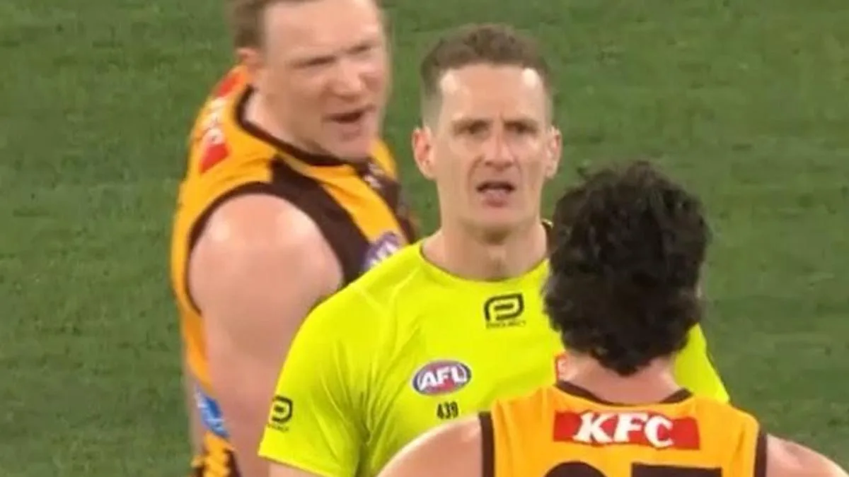 ‘I felt threatened’: Umpire Hayden Meyer breaks silence on Hawthorn stars’ post-match confrontation