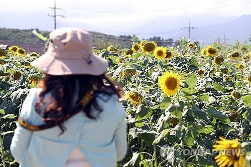 전북 대체로 맑고 일교차 커…낮 최고 26∼30도