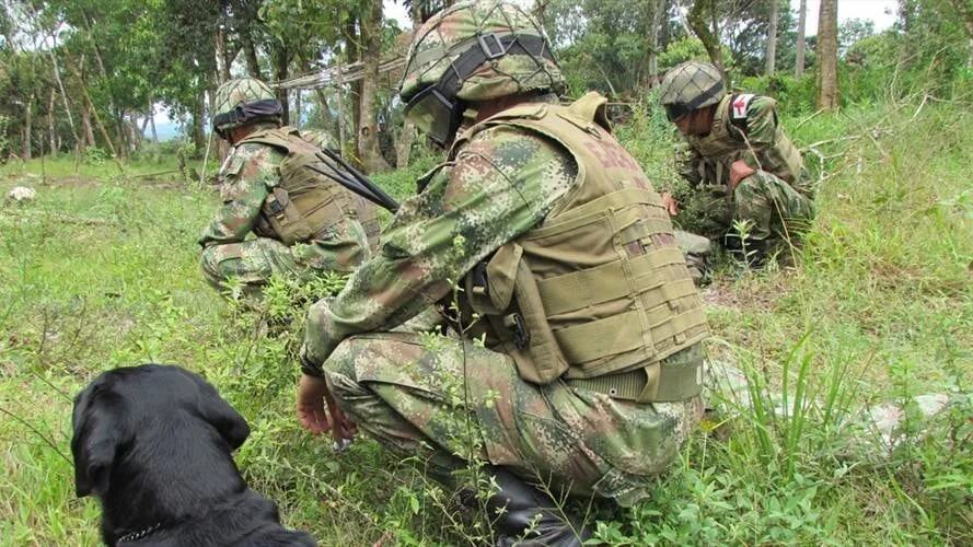 Cuatro soldados del Ejército resultaron heridos tras caer en campo minado en Briceño, Antioquia