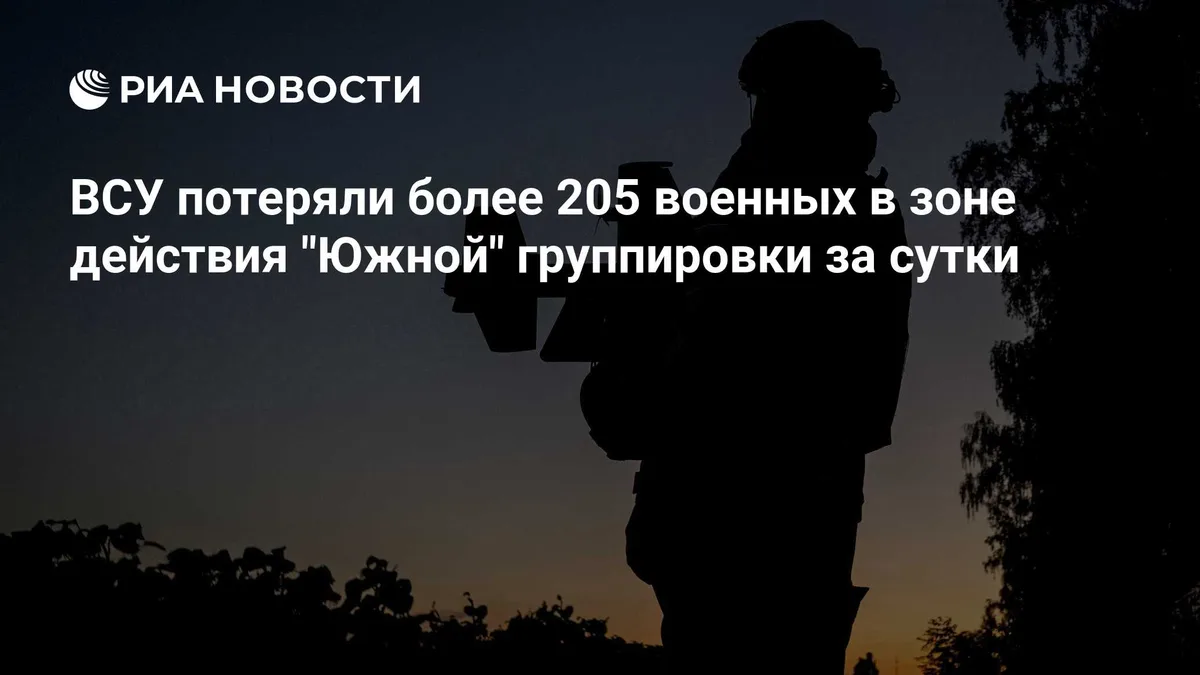 ВСУ потеряли более 205 военных в зоне действия "Южной" группировки за сутки