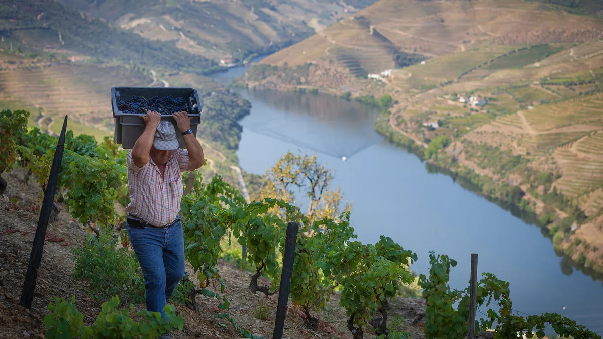Afinal, o que é o ‘benefício’ do Douro Vinhateiro e porque gera controvérsia no setor