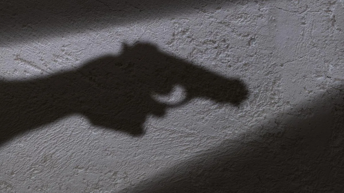 Indian national shot dead by unidentified man in New York City