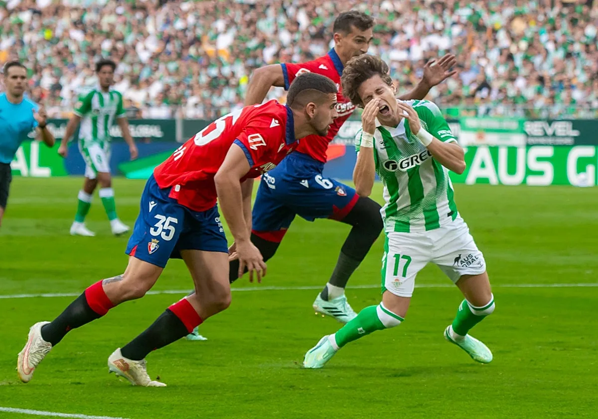 Betis - Osasuna, las estadísticas del partido