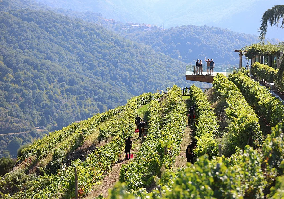 Outono Gastronómico en Lugo: cinco experiencias entre la Ribeira Sacra y la montaña