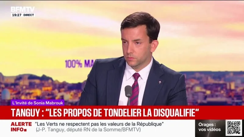 "Annuler la dette, c'est envoyer un signal désastreux", déclare Jean-Philippe Tanguy, député RN