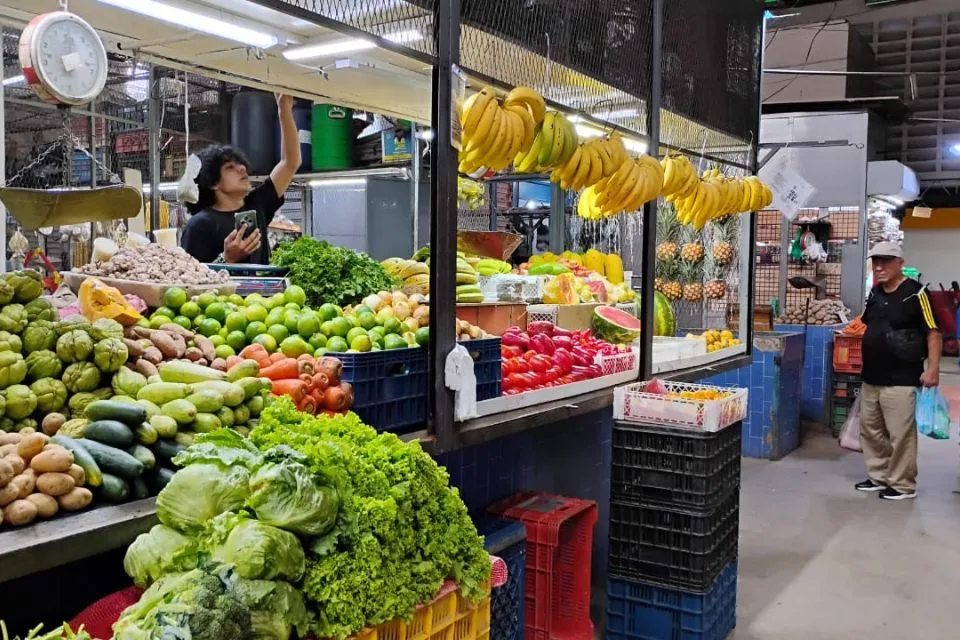 Canasta Alimentaria Familiar supera los $755: este monto es necesario solo para comer