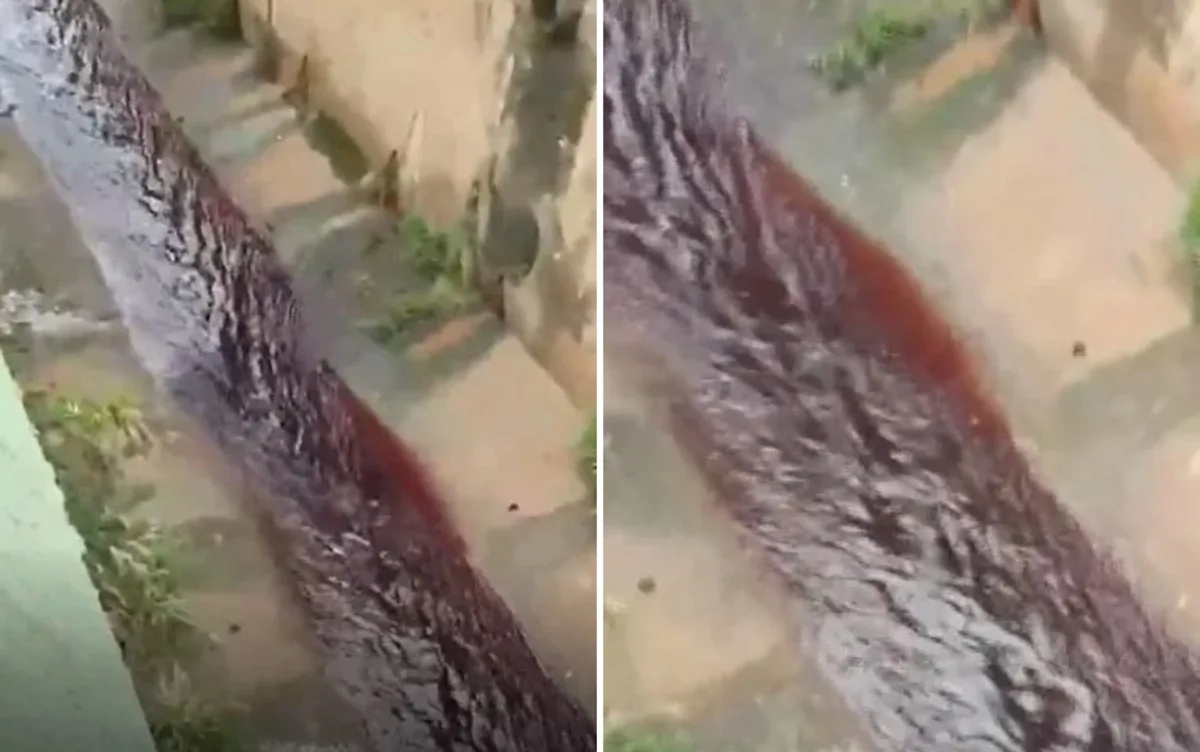 Água avermelhada em córrego preocupa moradores, em Catalão; vídeo