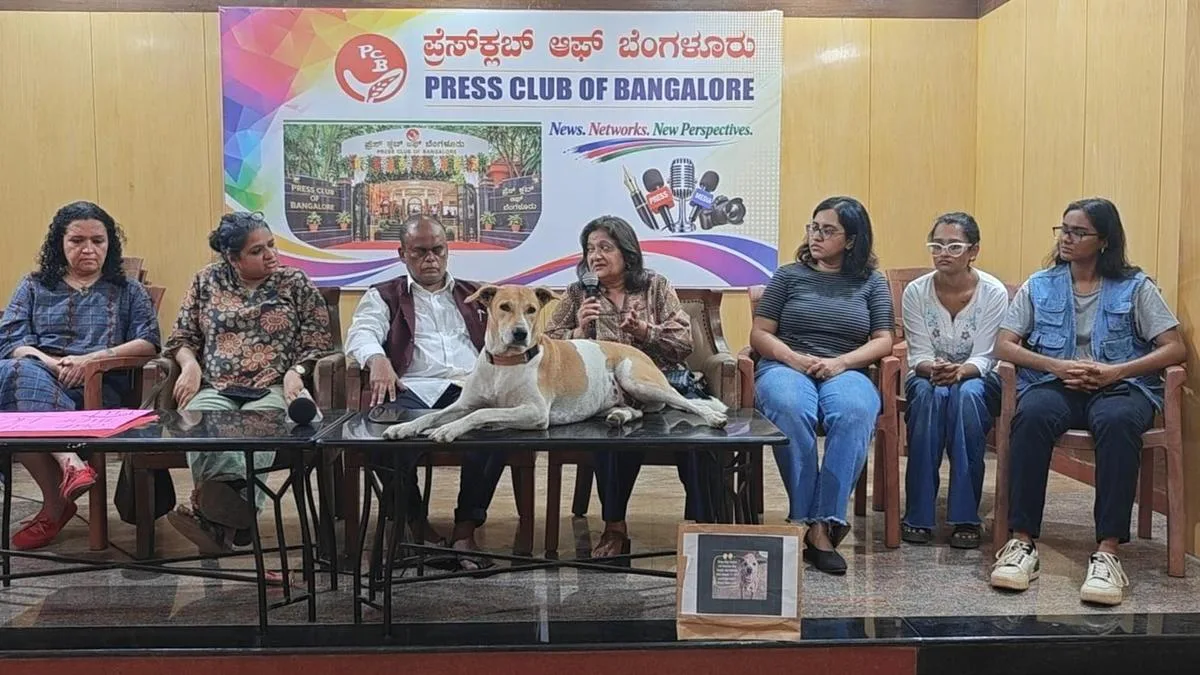Activists urge Chief Minister to prioritise sterilisation over permanent confinement of dogs