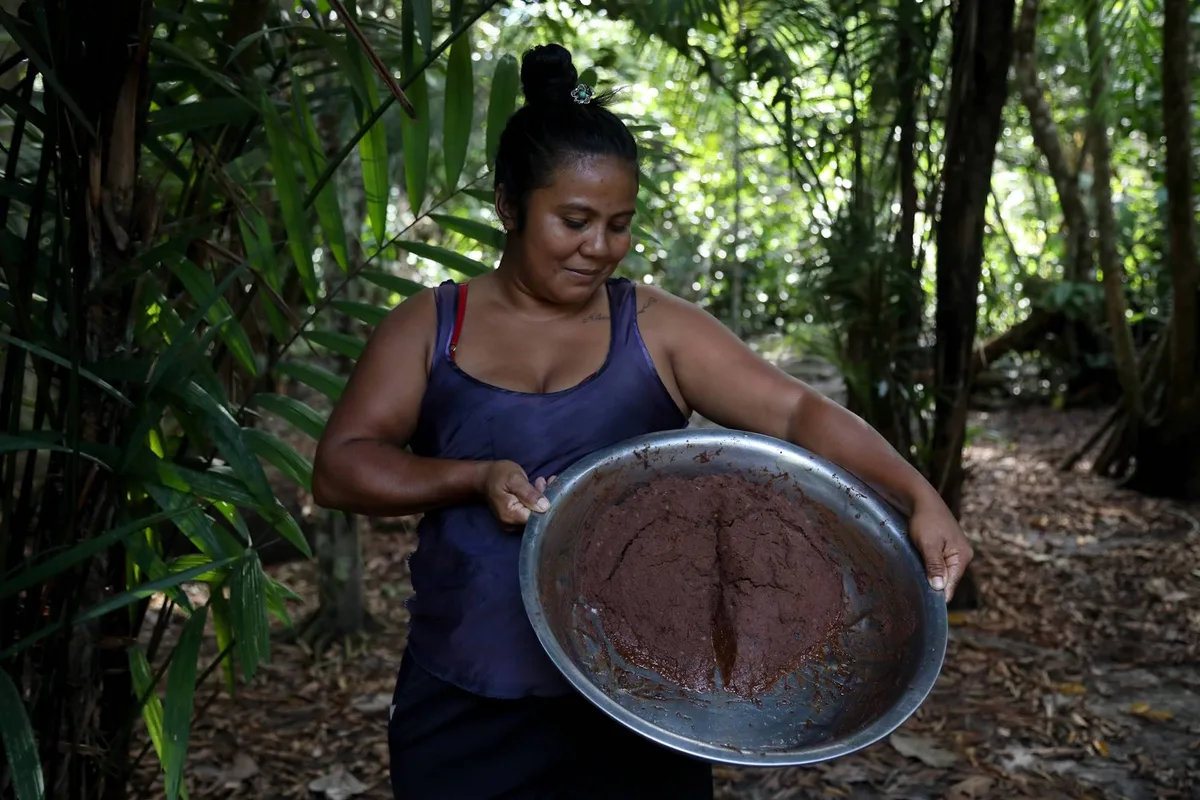 Entre a fartura e a escassez, o dinheiro não compra o que a floresta deixou de produzir