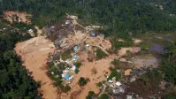 Terras indígenas respondem por 1,7% do desmatamento na Amazônia, diz Imazon