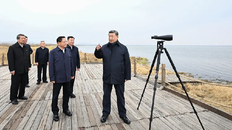 President Xi stresses ecological conservation, green development