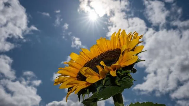 Wetter: Ab wann wieder mehr Sonne zu erwarten ist
