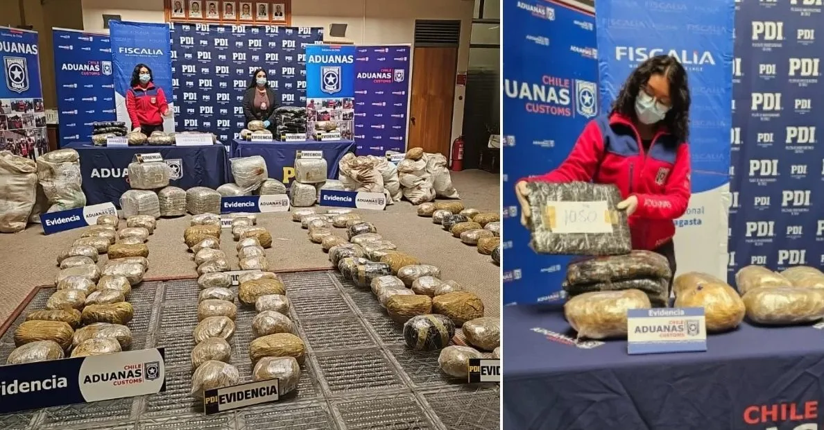Chile detuvo a venezolano en incautación de 352 kilos de marihuana ocultos en camión cisterna