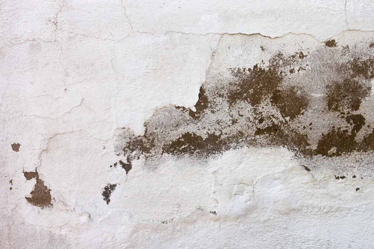 Adiós a las manchas: el paso a paso para reparar una pared afectada por la humedad