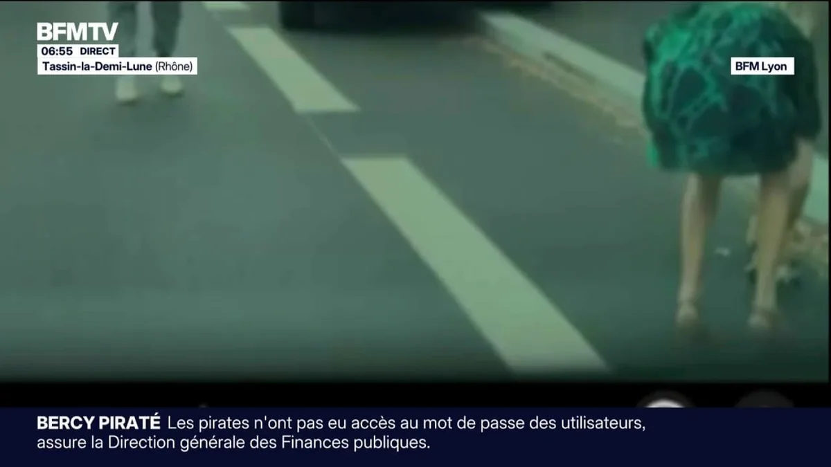 Le sort d'un renard mordeur fait débat à Tassin-la-Demi-Lune (Rhône)