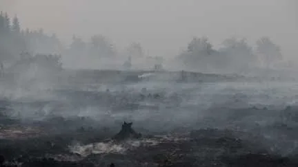 En Belgique, malgré la pluie et la baisse des températures, l'incendie continue de progresser et la polémique enfle