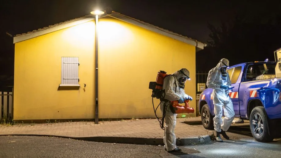 Chikungunya : la Gironde confrontée à plusieurs dizaines de cas autochtones