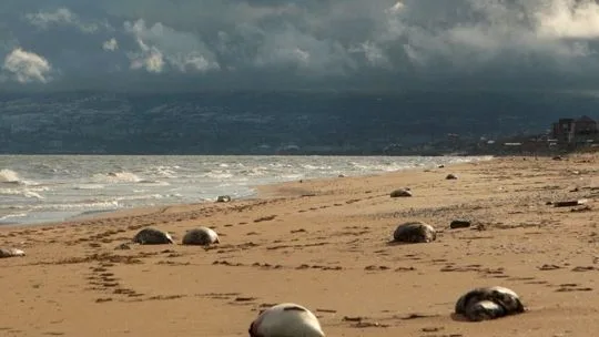 Por el cambio climático, el mar Caspio se está secando a ritmo preocupante
