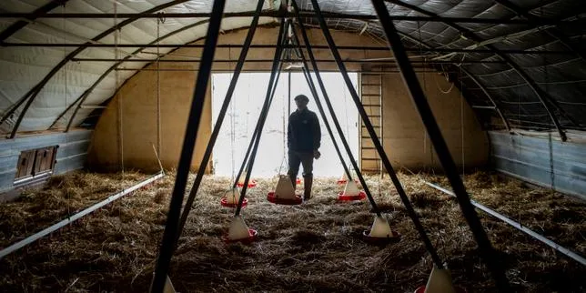 L’inquiétude sur le mal-être des agriculteurs grandit après une année catastrophique : « Les gens sont à bout »