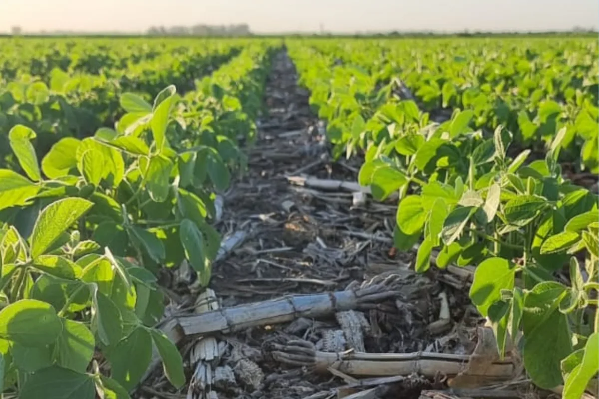 Una alianza busca medir el impacto ambiental de la producción agropecuaria y facilitar el acceso a nuevos mercados