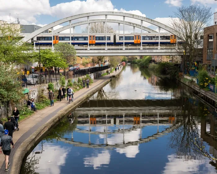 Plantwatch: Cities make a surprising refuge for threatened UK wildflowers