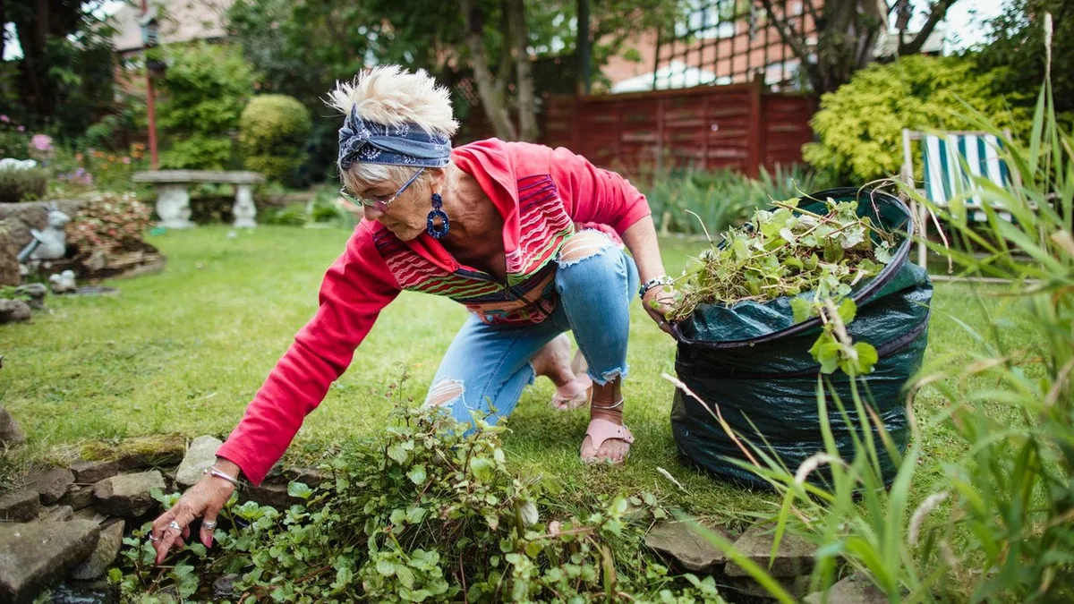 Garten: Pappe gegen Unkraut im Beet – hilft wirklich, ohne Zupfen und Chemie