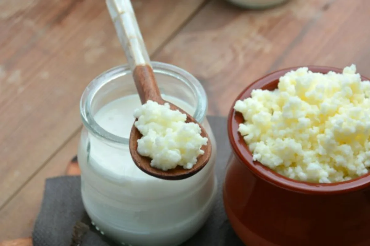 “Oro blanco”: el alimento milenario que ayuda a restaurar la flora intestinal